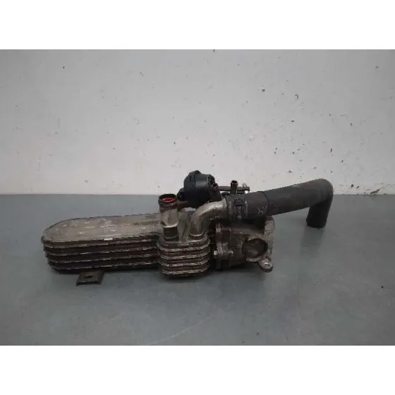 Enfriador Egr para Volkswagen Golf V Berlina (1K1)