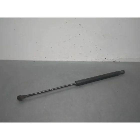 Amortiguadores Maletero / Porton para Citroën C3