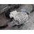 Elevalunas Delantero Izquierdo para Ford Tourneo Courier (C4A)
