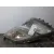Faro Izquierdo para Toyota Prius (Nhw20)