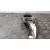Brazo Suspension Superior Trasero Derecho para Mercedes-Benz Clase Slk (W171) Roadster