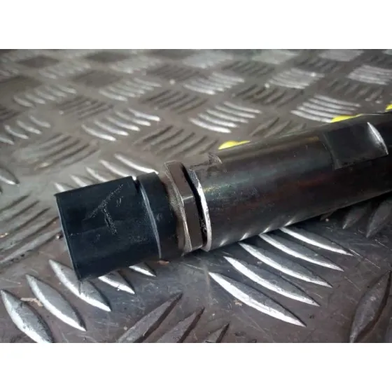 Rampa Inyectora para Bmw Serie 1 Berlina (E81/E87)