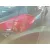 Piloto Trasero Derecho para Kia Cee'd