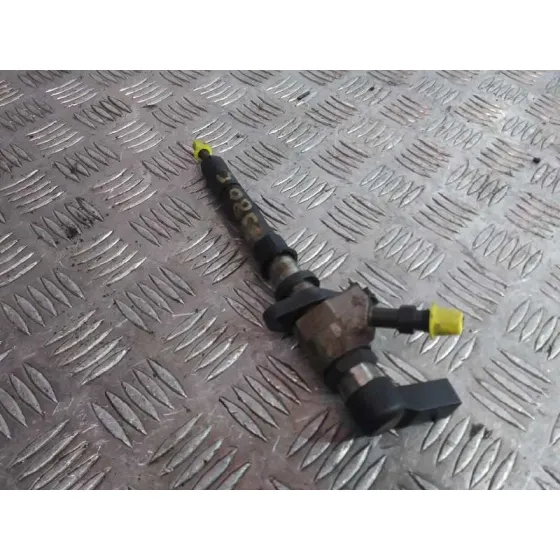 Inyector para Citroën C4 Grand Picasso