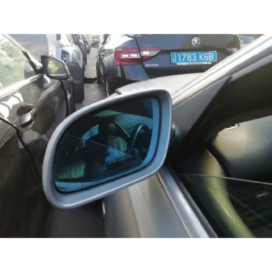 Retrovisor Izquierdo para Audi A8 (4E2)