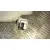 Parasol Izquierdo para Audi A5 Coupe (8T)