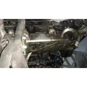 Enfriador Egr para Audi A3 (8P)