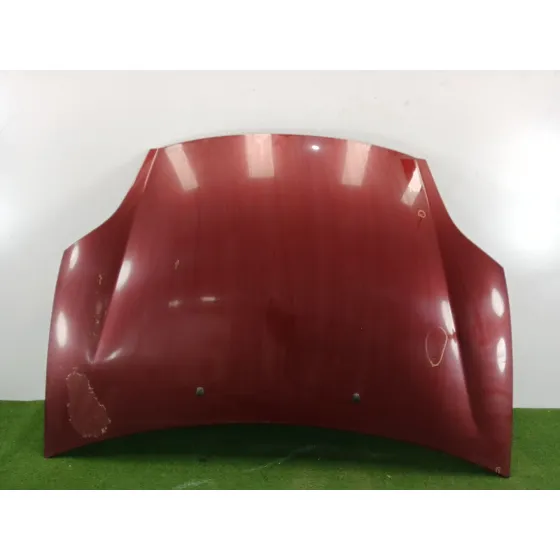 Capot para Fiat Bravo (198)