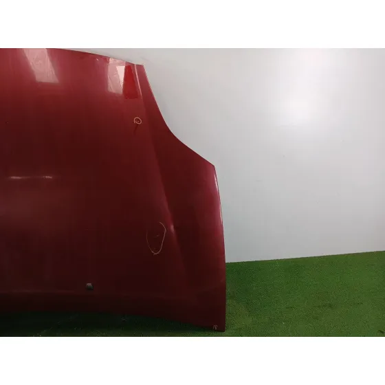 Capot para Fiat Bravo (198)