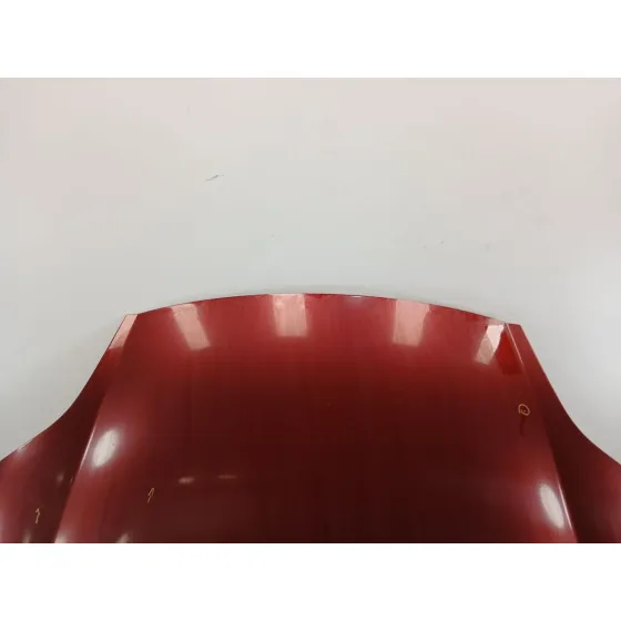 Capot para Fiat Bravo (198)
