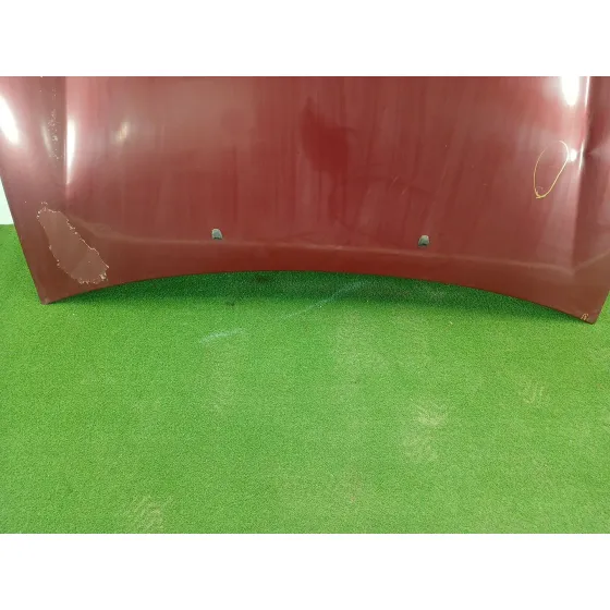 Capot para Fiat Bravo (198)