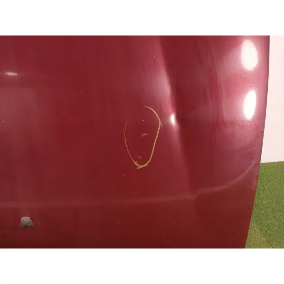 Capot para Fiat Bravo (198)