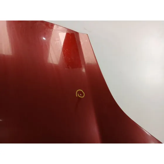 Capot para Fiat Bravo (198)