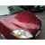 Capot para Fiat Bravo (198)