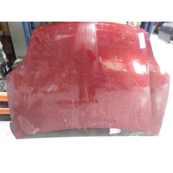 Capot para Fiat Bravo (198)
