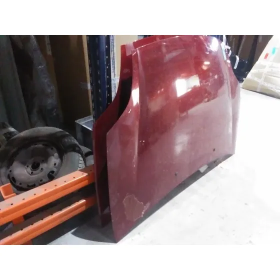 Capot para Fiat Bravo (198)