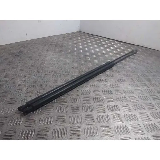 Amortiguadores Maletero / Porton para Renault Kangoo