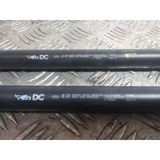 Amortiguadores Maletero / Porton para Renault Kangoo
