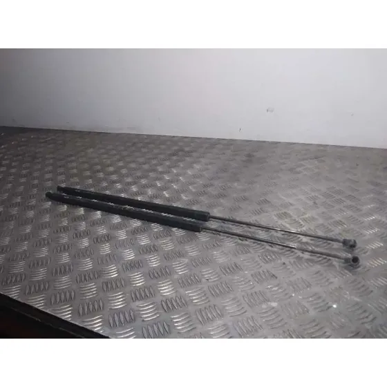 Amortiguadores Maletero / Porton para Renault Kangoo