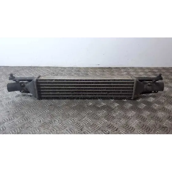 Intercooler para Fiat Punto (Evo) (199)