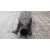 Intercooler para Fiat Punto (Evo) (199)