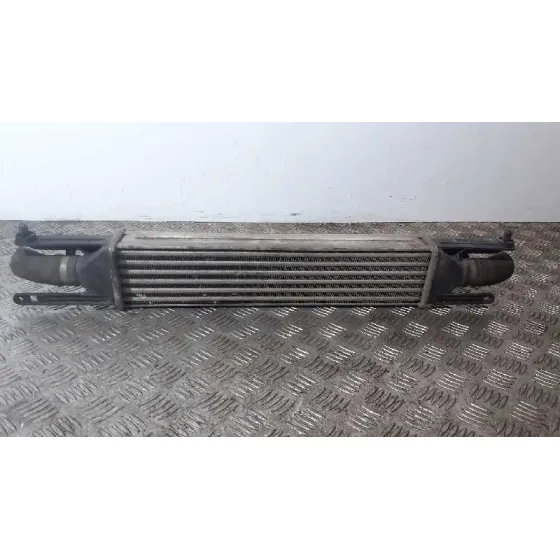 Intercooler para Fiat Punto (Evo) (199)