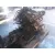 Motor Completo para Audi A4 Berlina (B5)