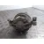 Amortiguador Trasero Izquierdo para Audi Q7 (4L)