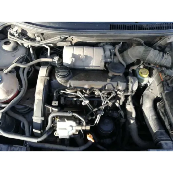 Motor Completo para Seat Ibiza (6L1)