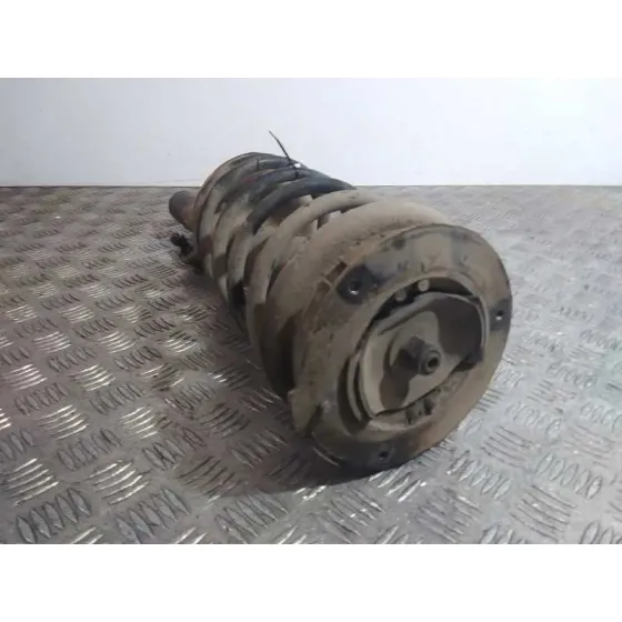 Amortiguador Delantero Izquierdo para Peugeot 607 (S1)