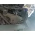 Amortiguador Delantero Derecho para Bmw Serie 5 Touring (F11)