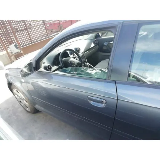 Puerta Delantera Izquierda para Audi A3 (8P)