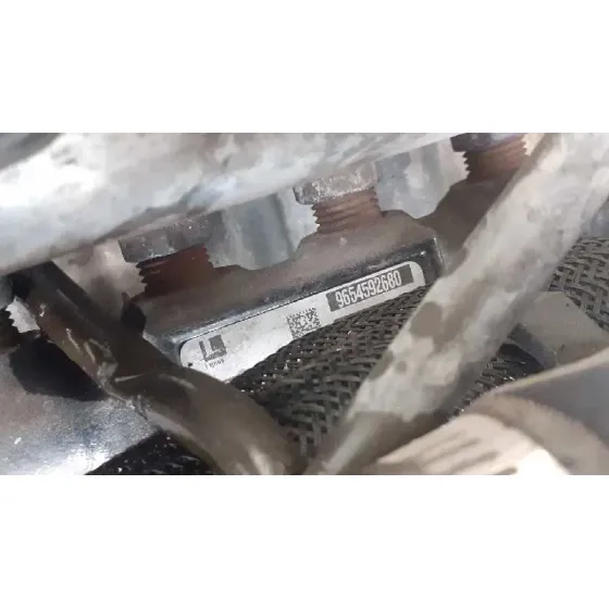 Despiece Motor para Citroën Berlingo
