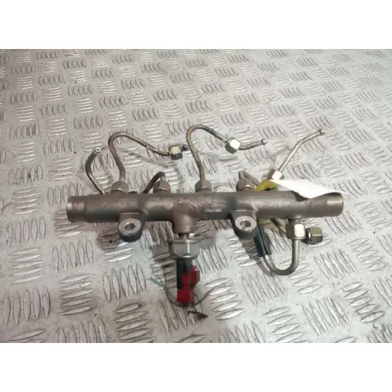 Rampa Inyectora para Renault Megane Ii Classic Berlina