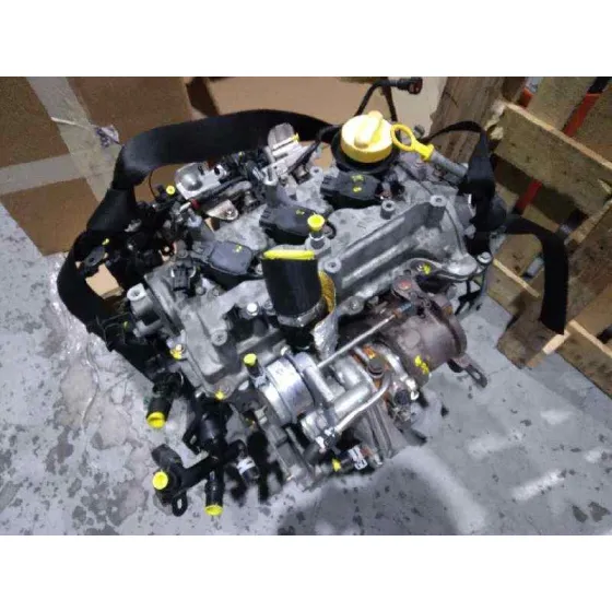 Despiece Motor para Renault Clio Iv
