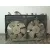 Electroventilador para Toyota Prius (Nhw20)