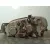 Faro Derecho para Kia Carnival Ii
