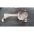Diferencial Delantero para Nissan Navara Pick-Up (D40M)