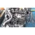 Despiece Motor para Kia Carens (Un)