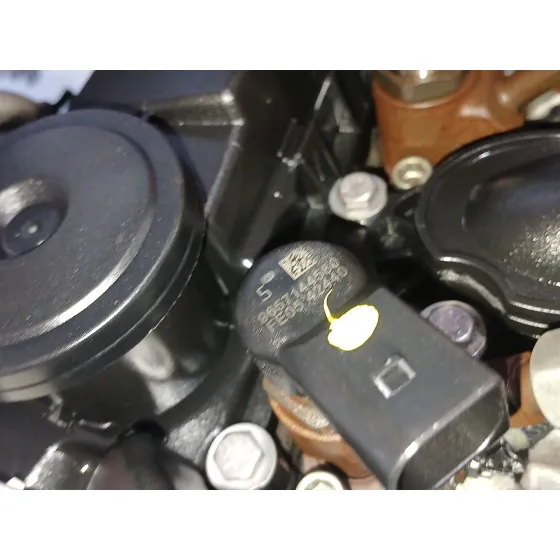 Despiece Motor para Ford S-Max (Ca1)