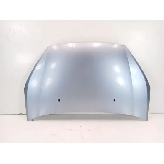 Capot para Ford S-Max (Ca1)