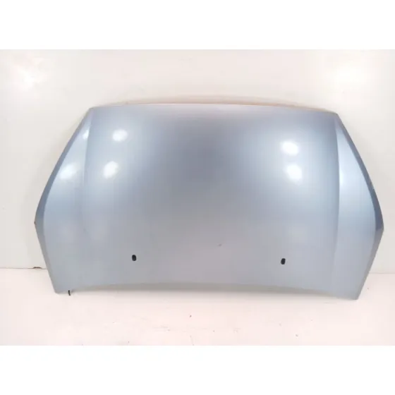 Capot para Ford S-Max (Ca1)