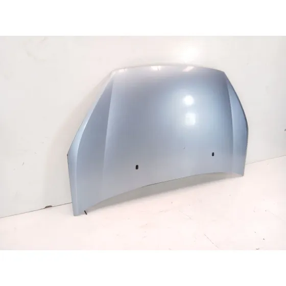 Capot para Ford S-Max (Ca1)