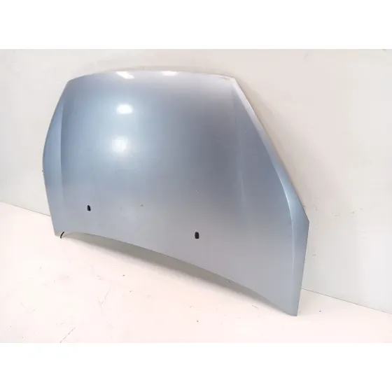 Capot para Ford S-Max (Ca1)
