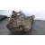 Despiece Caja Cambios para Seat Leon (5F1)