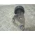 Tensor Correa Auxiliar para Jaguar Xf