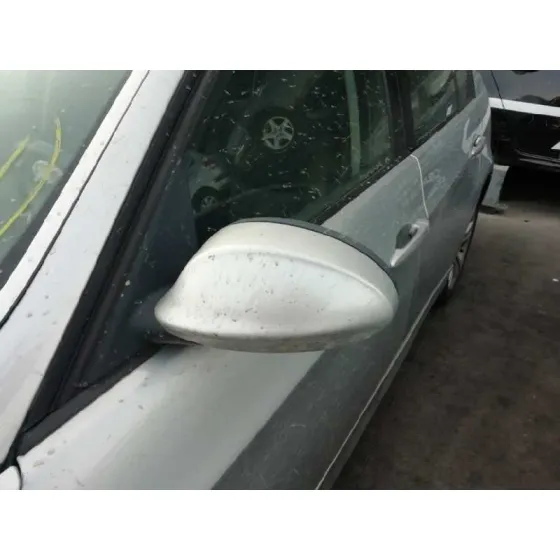 Retrovisor Izquierdo para Bmw Serie 3 Berlina (E90)