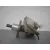 Bomba Freno para Ford Focus C-Max (Cap)
