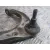 Brazo Suspension Superior Delantero Izquierdo para Volkswagen Touareg (7La)