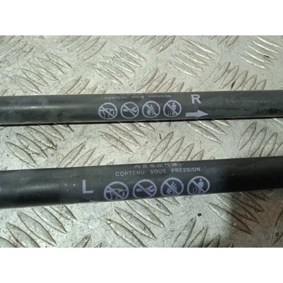 Amortiguadores Maletero / Porton para Toyota Corolla Touring Sports (E21)
